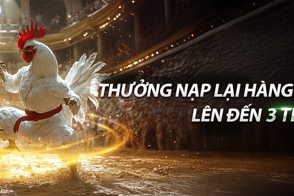 Quà tặng bí ẩn và vòng quay may mắn b29 bet