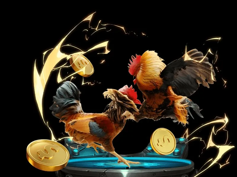 Hoàn trả xổ số b29 bet